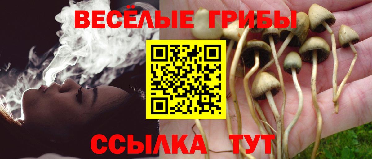 Псилоцибиновые грибы мицелий  Псилоцибиновые грибы прущие грибы  Вход с VPN  Ногинск 